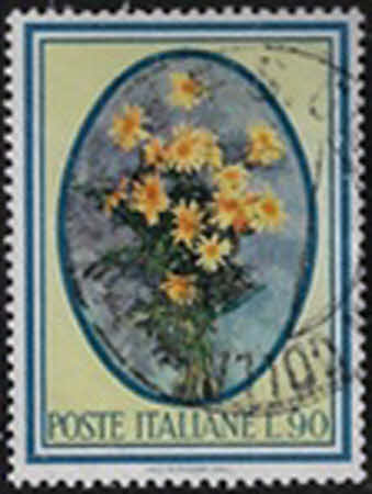Gänseblümchen (Leucanthemum vulgare). 50 L