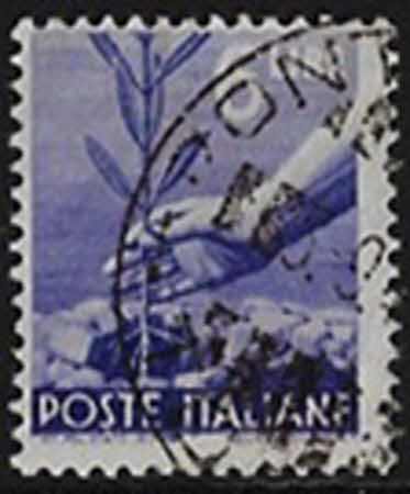 Handpflanzung eines Olivenbaums – 1947 – 6 L