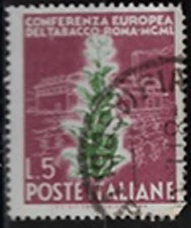 Produkt 11207
