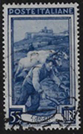 Produkt 11317