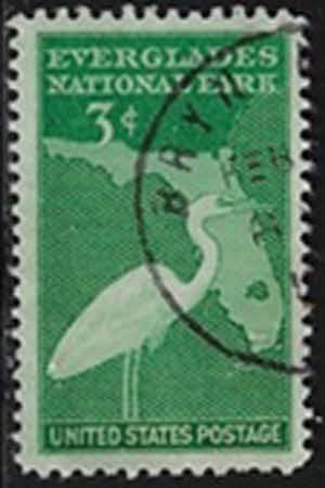 Silberreiher (Great White Heron) vor einer Karte von Florida – 3 C
