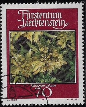 l-717_20251011151933