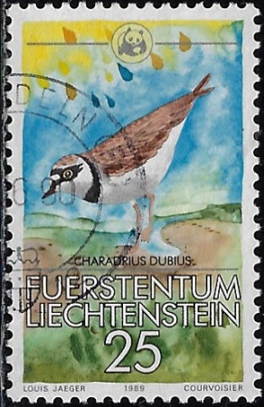 l-908_20251010100924