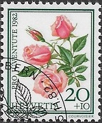 zju-282_20250519102107