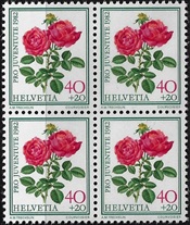 zju-283.1.4_20250519104218