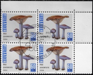 zju-333.4