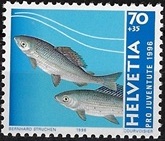 zju-341.1_20250521131520