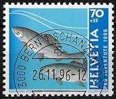 zju-341_20250521131454