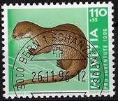 zju-343_20250521125533